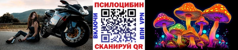 ОМГ ОМГ ссылка  наркотики  Котельнич  Галлюциногенные грибы Cubensis 